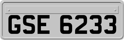 GSE6233