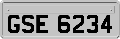 GSE6234
