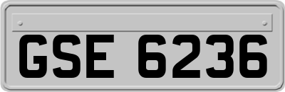 GSE6236