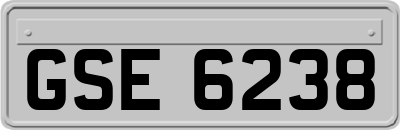 GSE6238