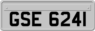 GSE6241