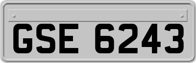 GSE6243