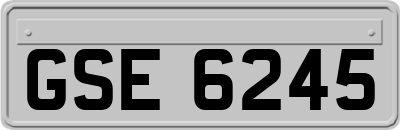 GSE6245