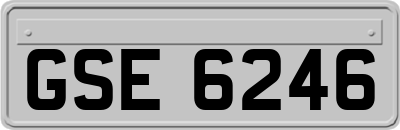 GSE6246
