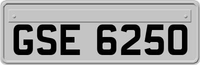 GSE6250