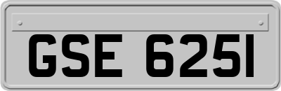 GSE6251