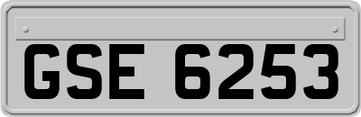 GSE6253