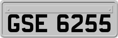 GSE6255