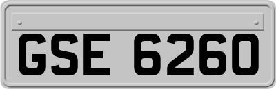 GSE6260