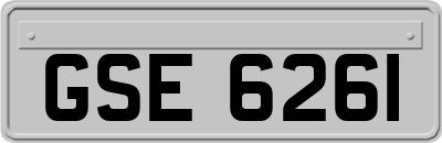 GSE6261