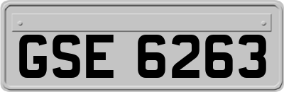 GSE6263