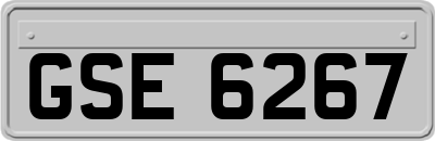 GSE6267