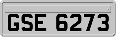 GSE6273