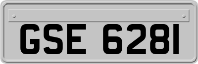 GSE6281