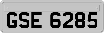GSE6285