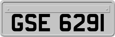 GSE6291