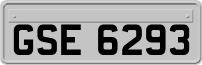 GSE6293