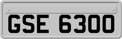 GSE6300