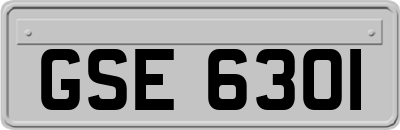 GSE6301