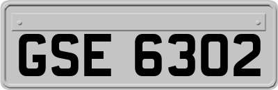 GSE6302