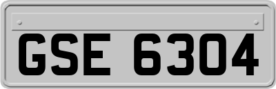 GSE6304