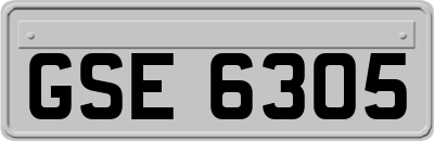 GSE6305