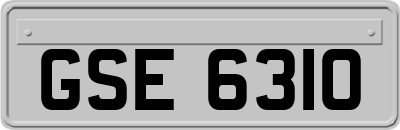 GSE6310