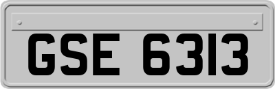 GSE6313