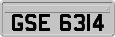 GSE6314