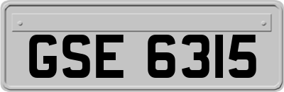 GSE6315