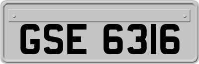 GSE6316