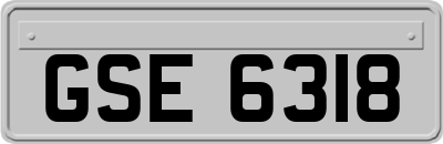 GSE6318