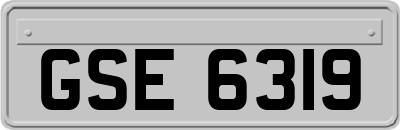 GSE6319