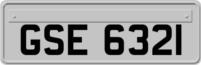 GSE6321
