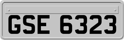 GSE6323