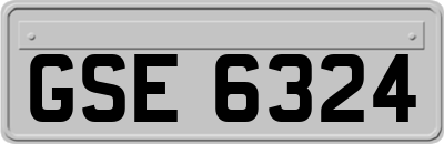 GSE6324