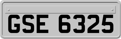 GSE6325