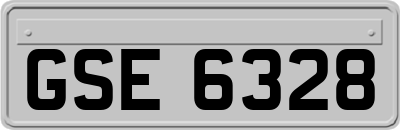 GSE6328
