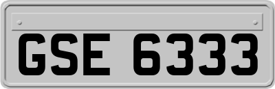 GSE6333