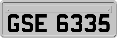 GSE6335