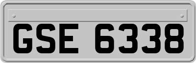 GSE6338