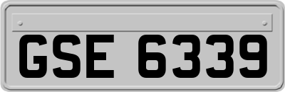 GSE6339