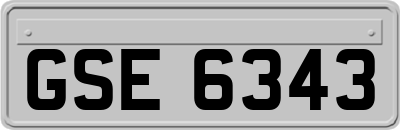 GSE6343