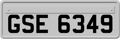 GSE6349