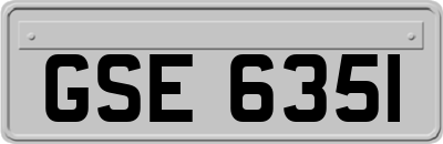 GSE6351