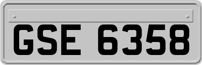 GSE6358