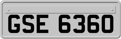GSE6360