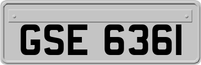 GSE6361