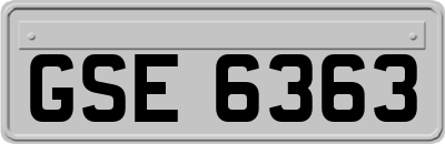 GSE6363