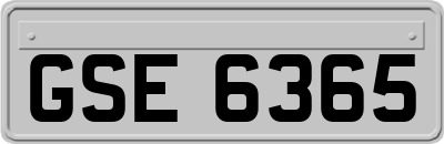 GSE6365